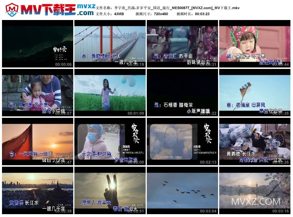 李宇春_肖战-岁岁平安_国语_流行_ME500877